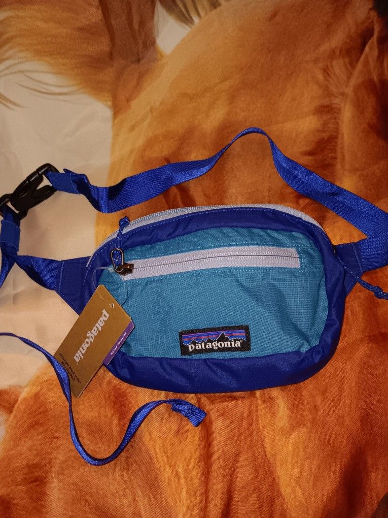 Patagonia Belt Bag