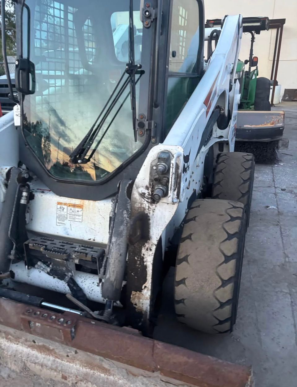 Bobcat