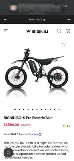 E bike