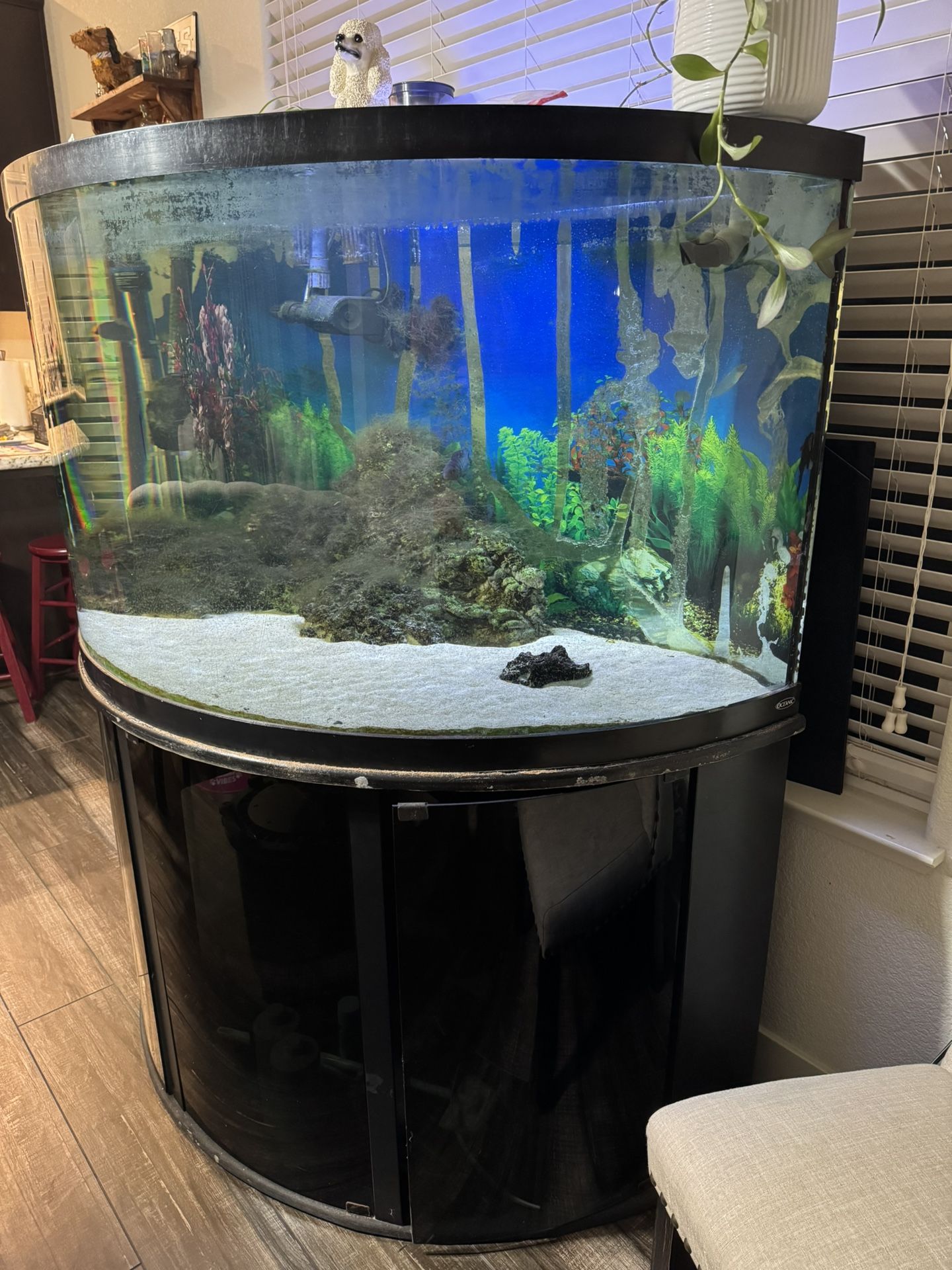 150 Gallon Fish Tank