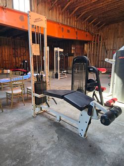 Bodymaster circuit master prone leg curl commercial gym equipment exercise fitness prone leg curl