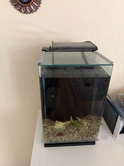 5 gallon aquarium tank with light