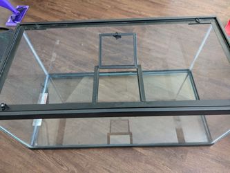 (ATL)All Living Things 40 Gallon Terrarium