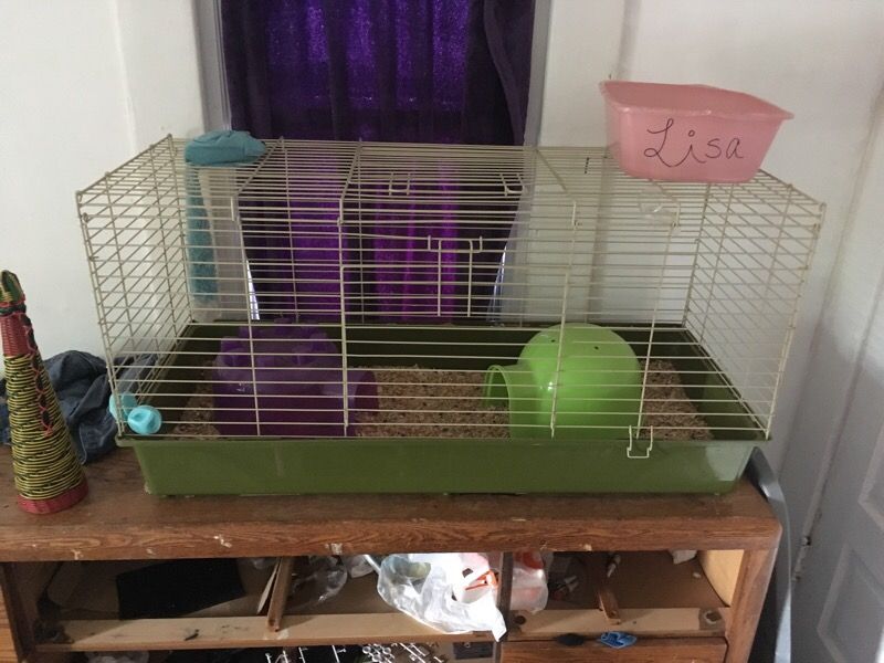 Pet cage