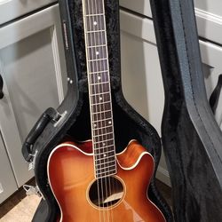 Ibanez Talman Acoustic Electric Guitar Gator Case And Amplifier for