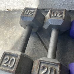 20  , 8 , 5 Lb Dumbbells 💪 