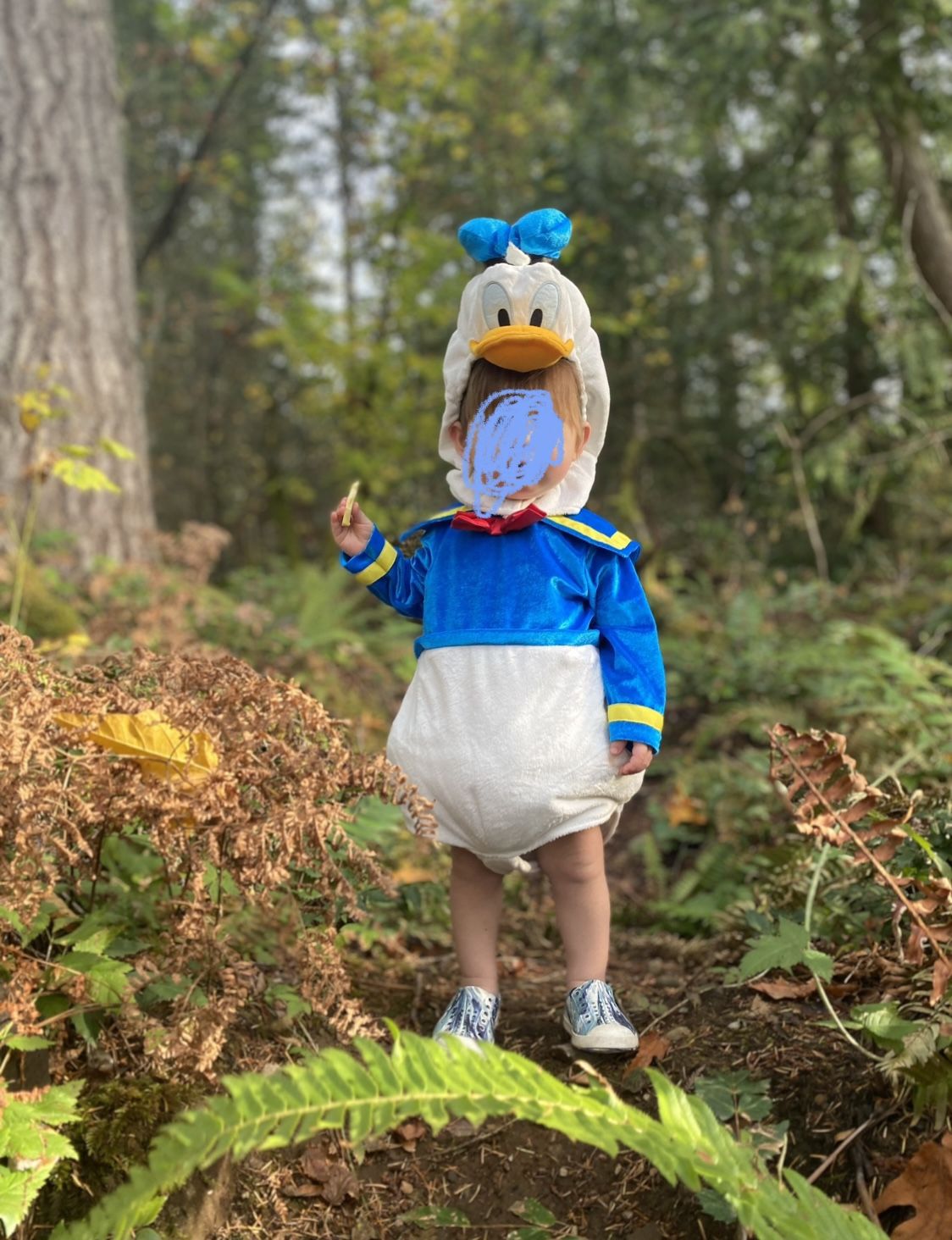 Toddler 18-24m Kids Disney Donald Duck Halloween Costume