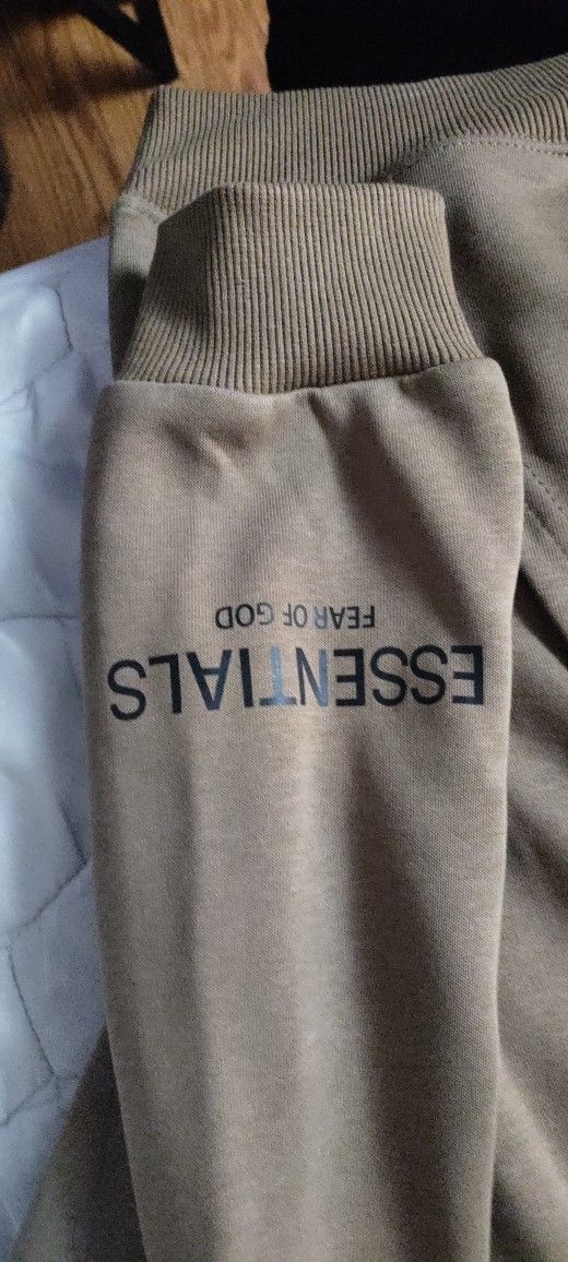 š„ESSENTIALS HOODIEš„