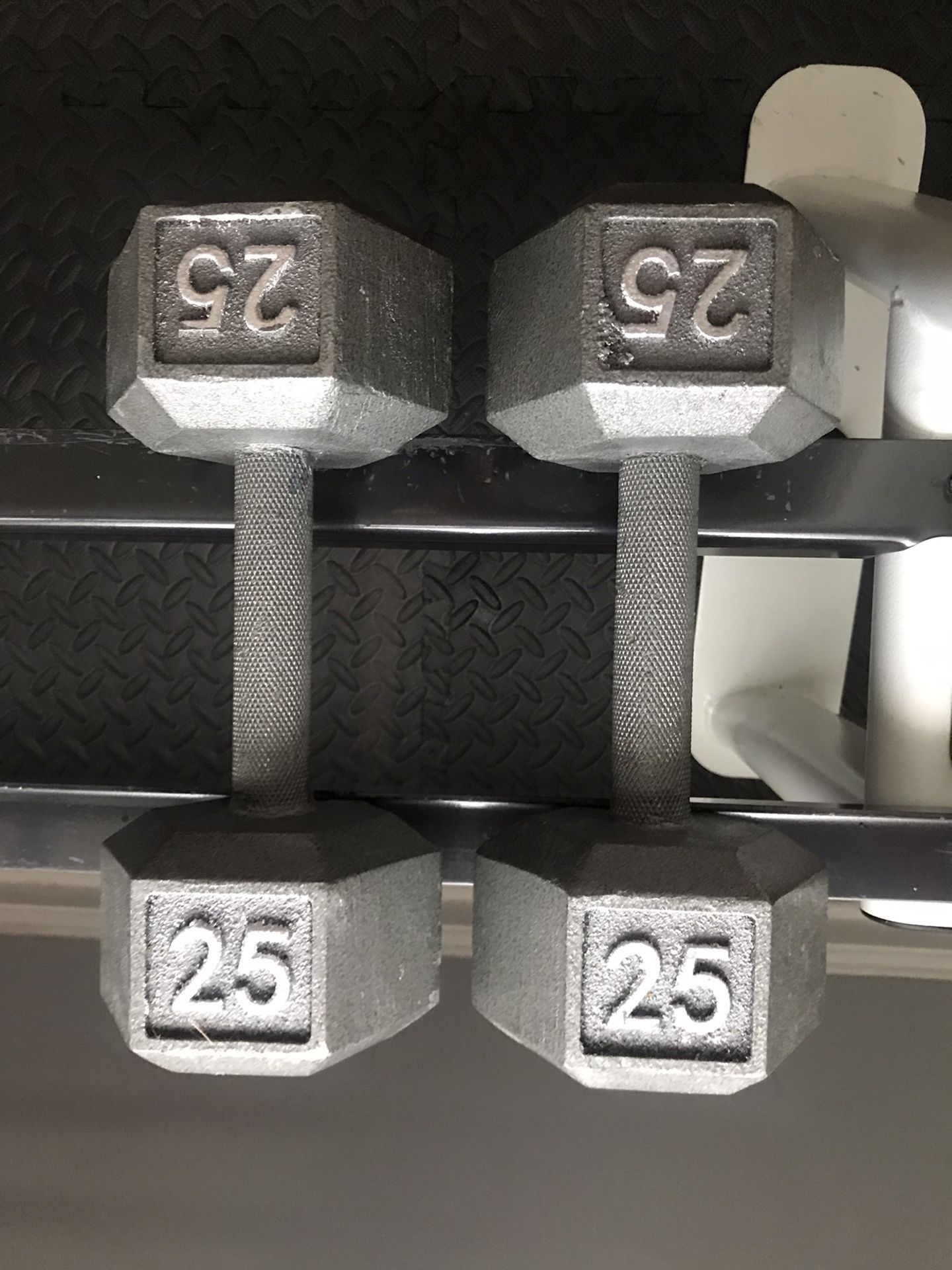 25lb Dumbbell Pair (2 available)