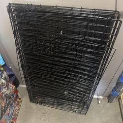 Large Dog Kennel