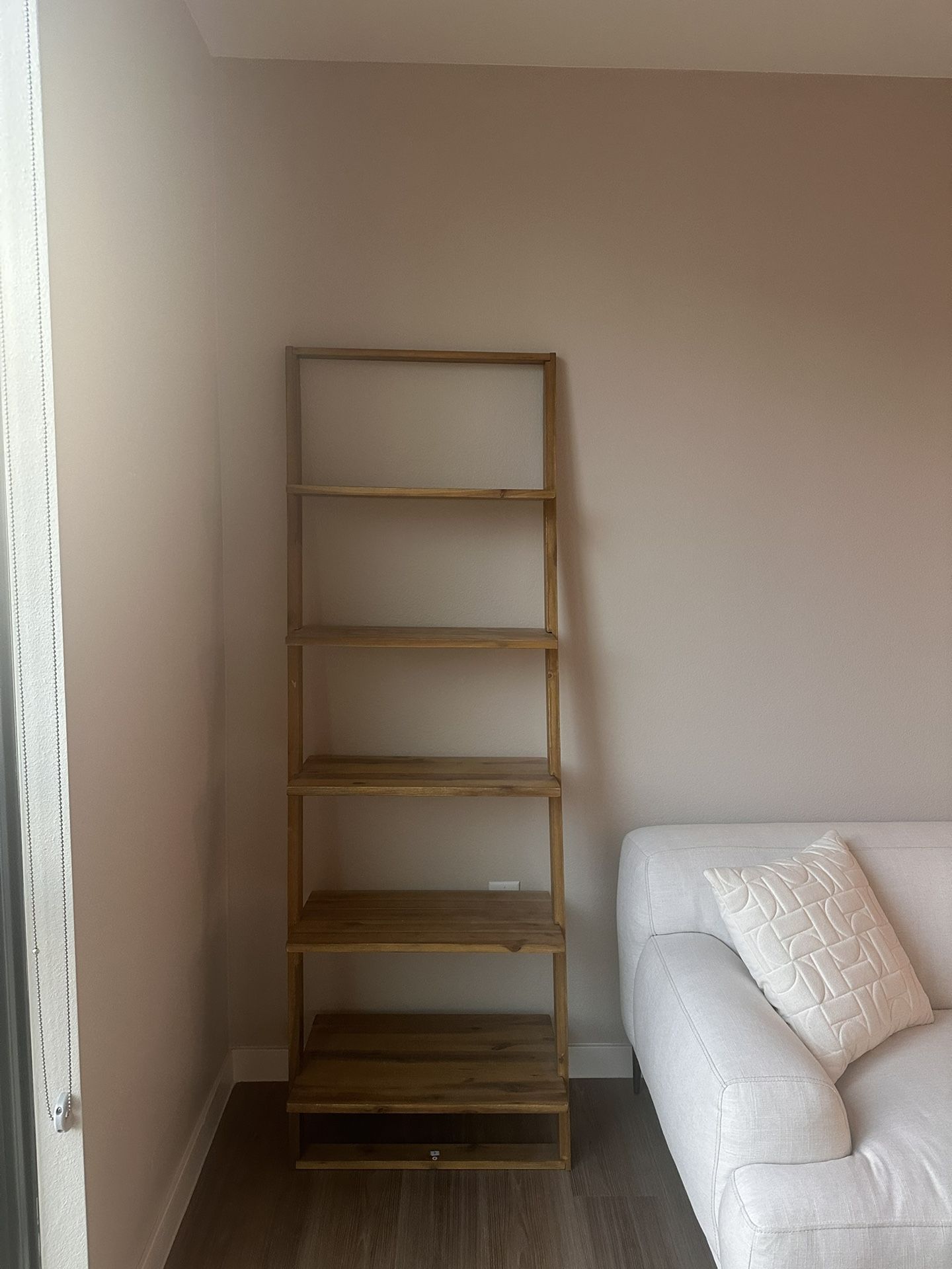 Ladder Bookshelf