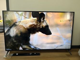 LG 70in tv