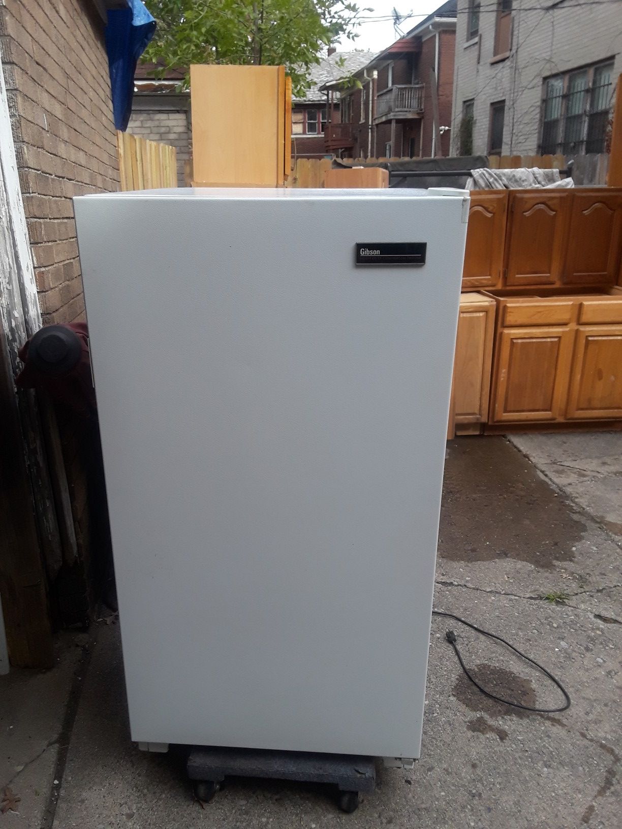 Small upright freezer