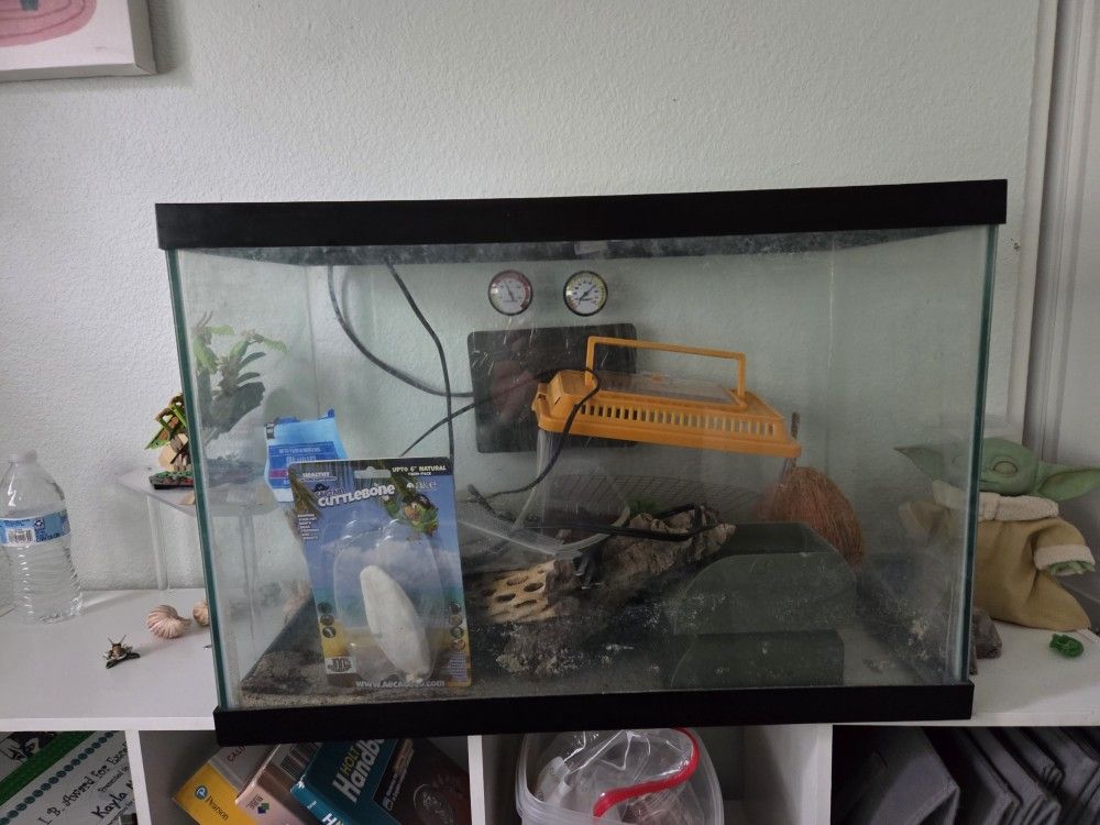 fish tank