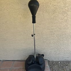 Free-standing Punching Bag and Gloves