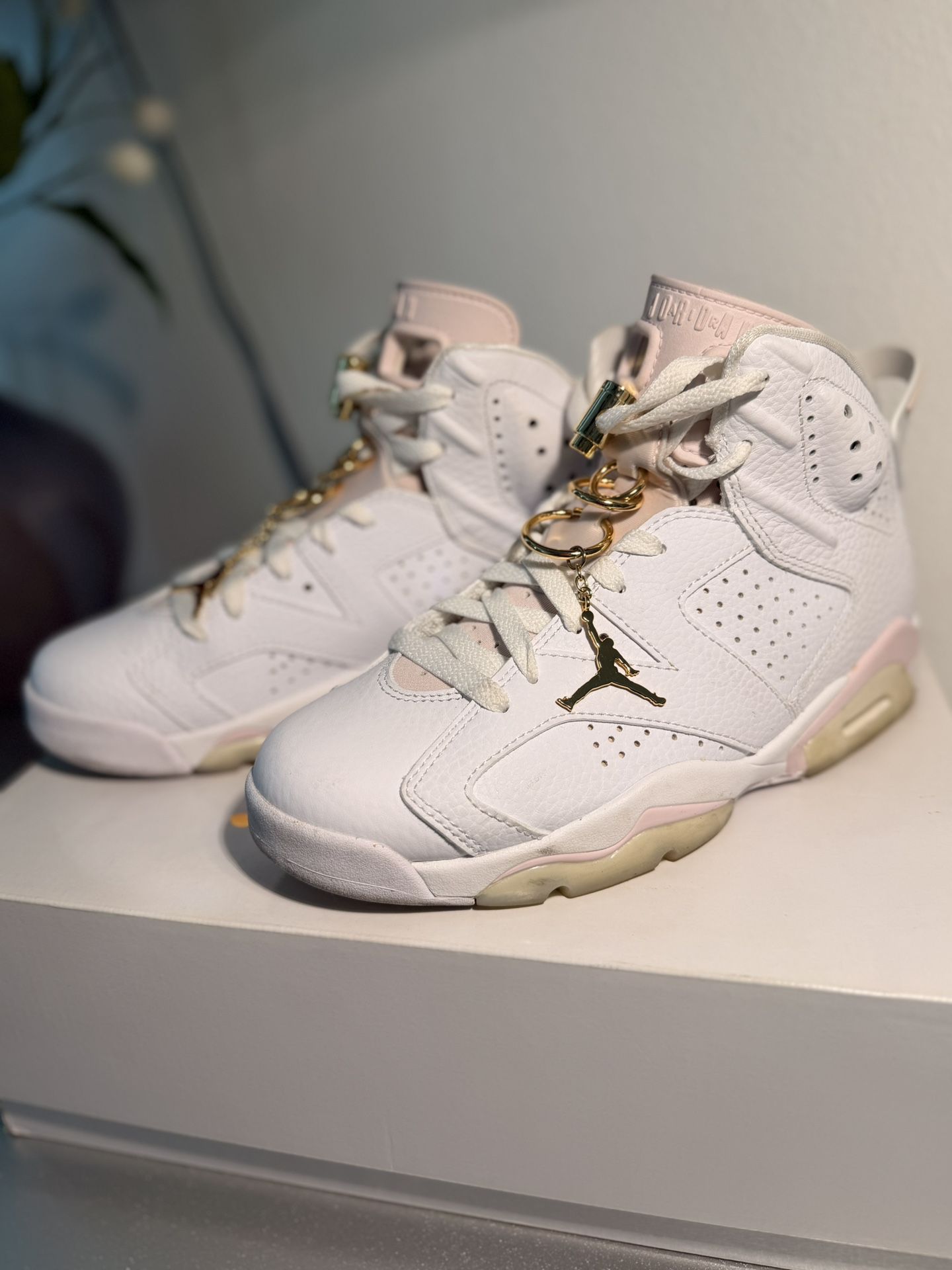 Air Jordan 6 Retro Gold Hoops