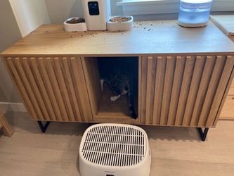 Double litter box enclosure includes litter boxes