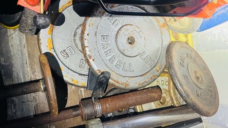 4-50lb plates
