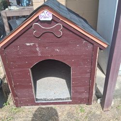 Big Dog House