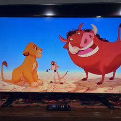 39” Insignia Roku TV — Smart HD — Remote Included — Delivery Option