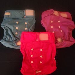 Dog Diapers