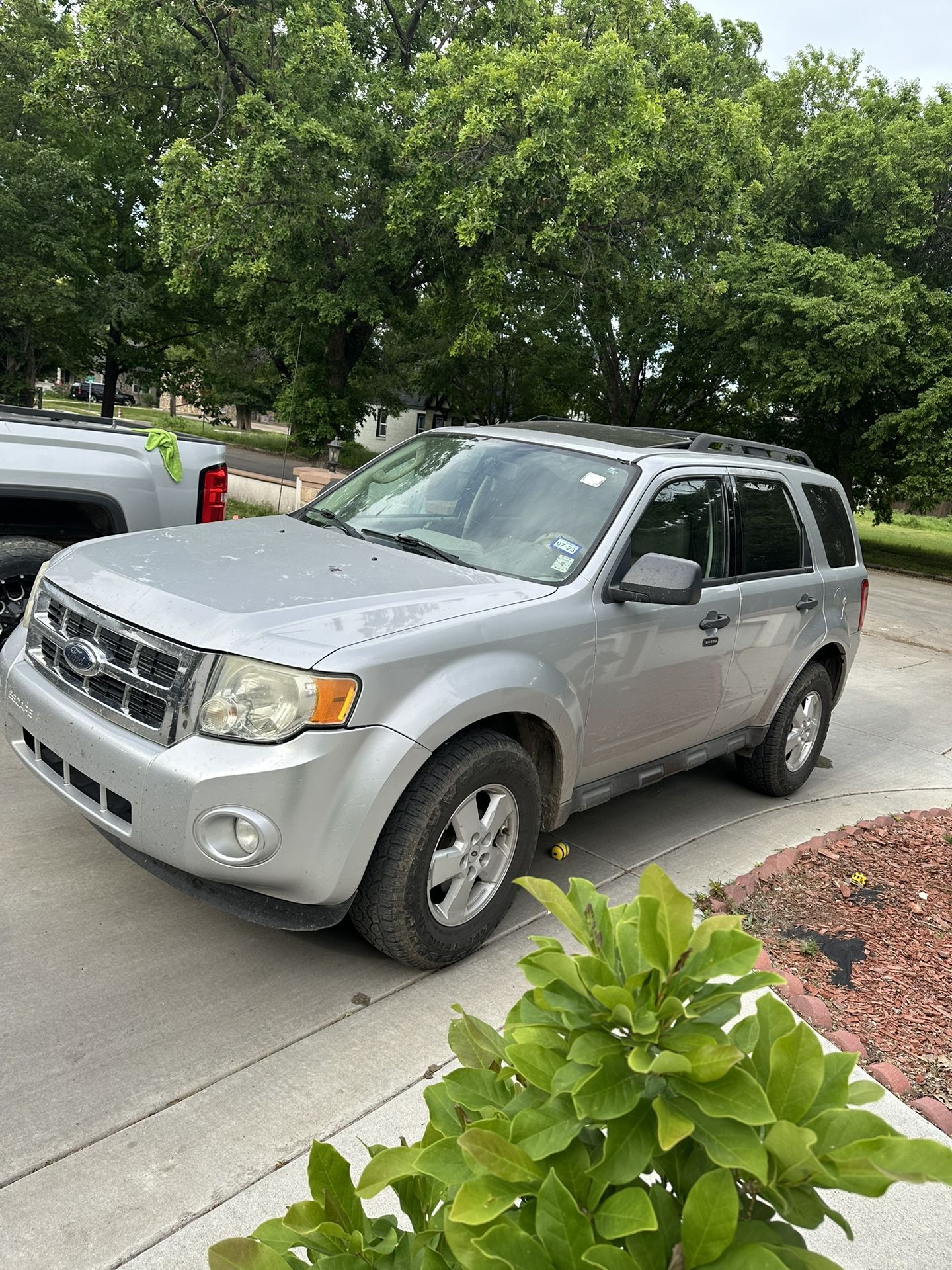 2010 Ford Escape