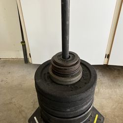 Barbell Weight Plates 2.5 lb - 45 lb / Rolling Plate Storage Rack / Bumper Rack / Barbell Plate Storage