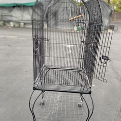 Bird Cage 