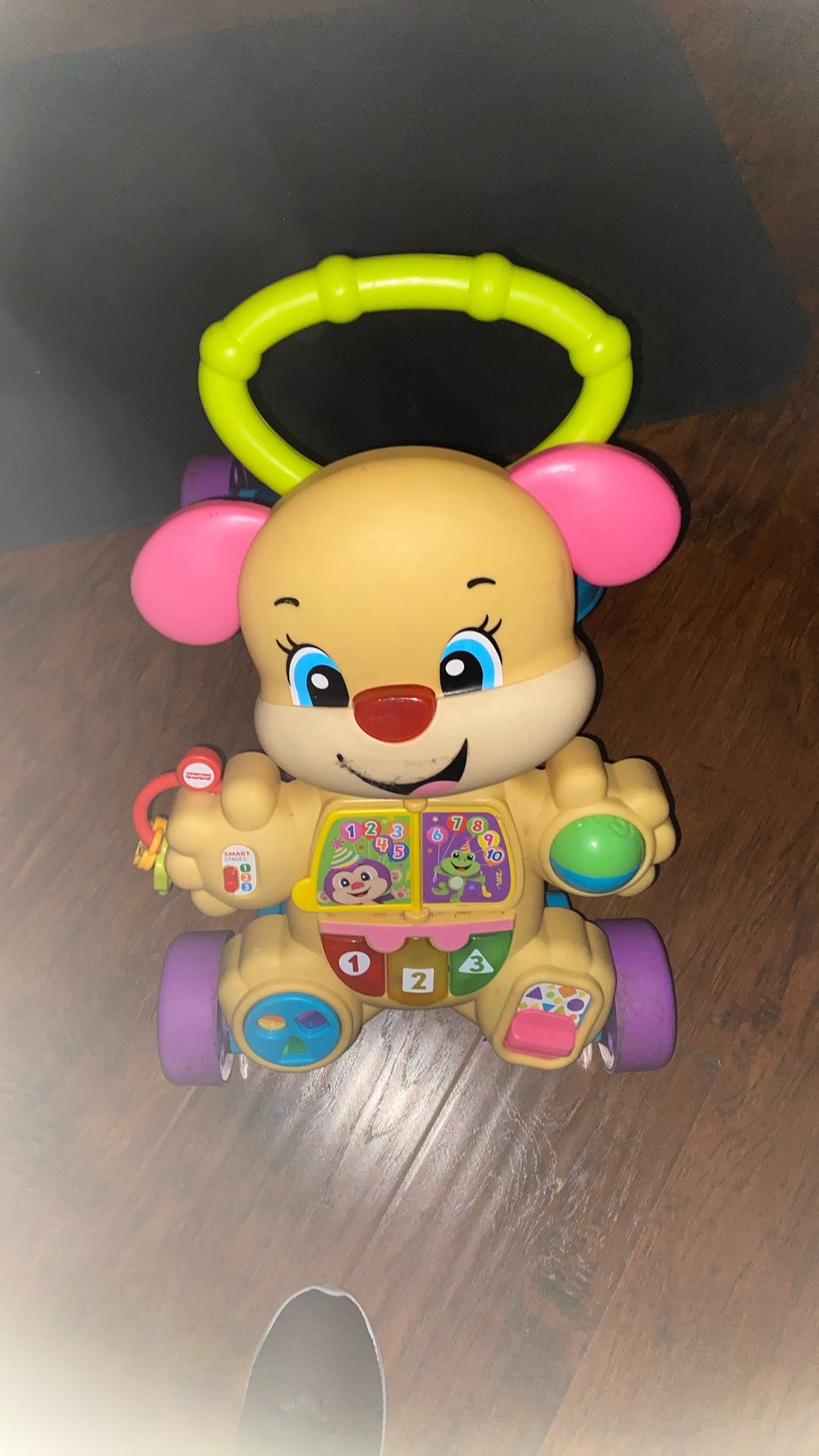 Push Toy/both Toddler Kid