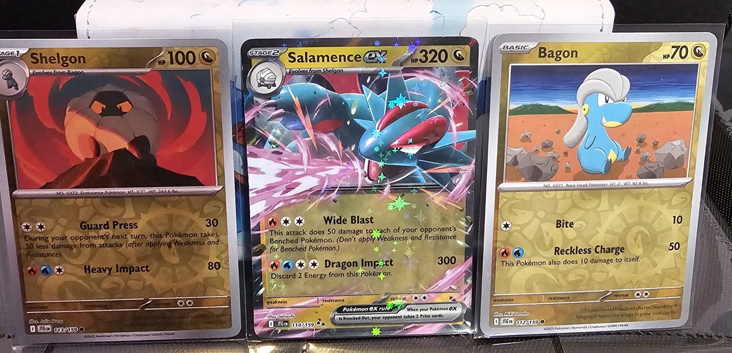 Salamenace EX Bundle (Pokemon Tcg)
