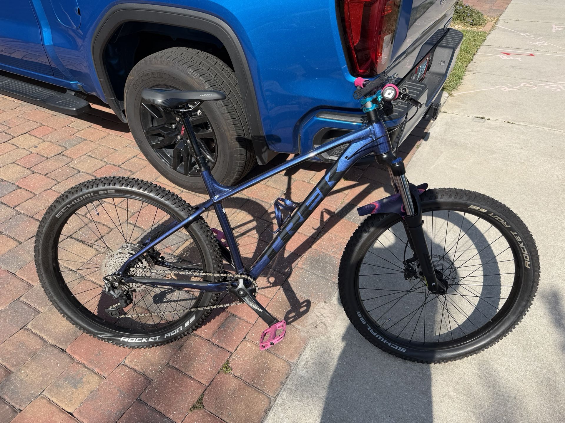 Trek Roscoe Mountain Bike Large