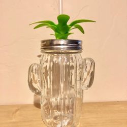 Glass Cactus Mason Jar