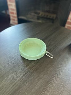 Collapsible Silicone Dog / Pet Travel Bowl with Carabiner – Mint Green
