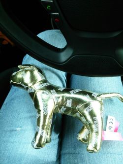 Gold VS dog.