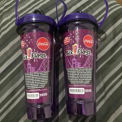 Lot 2 SIX FLAGS 2025 Refillable FREE REFILLS 2025 Season Drink Bottles Coca Cola