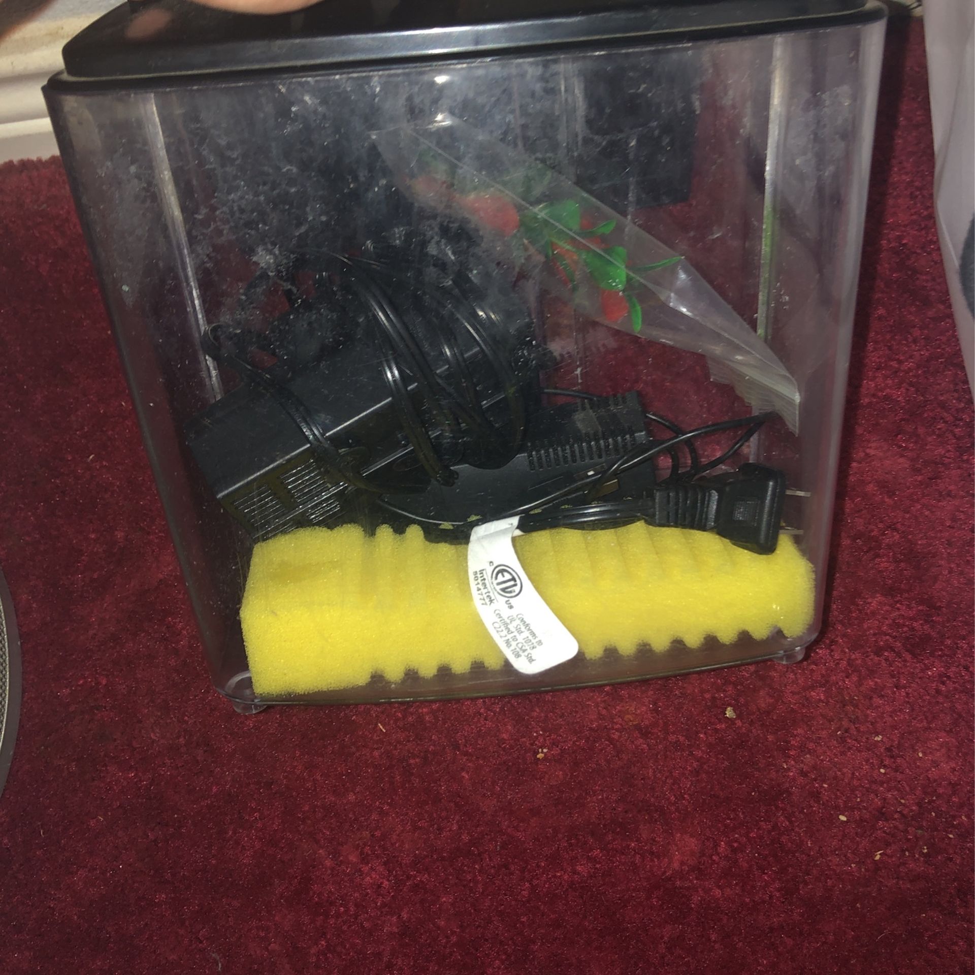 Fish Tank 1.2 Gallon &Free Filter