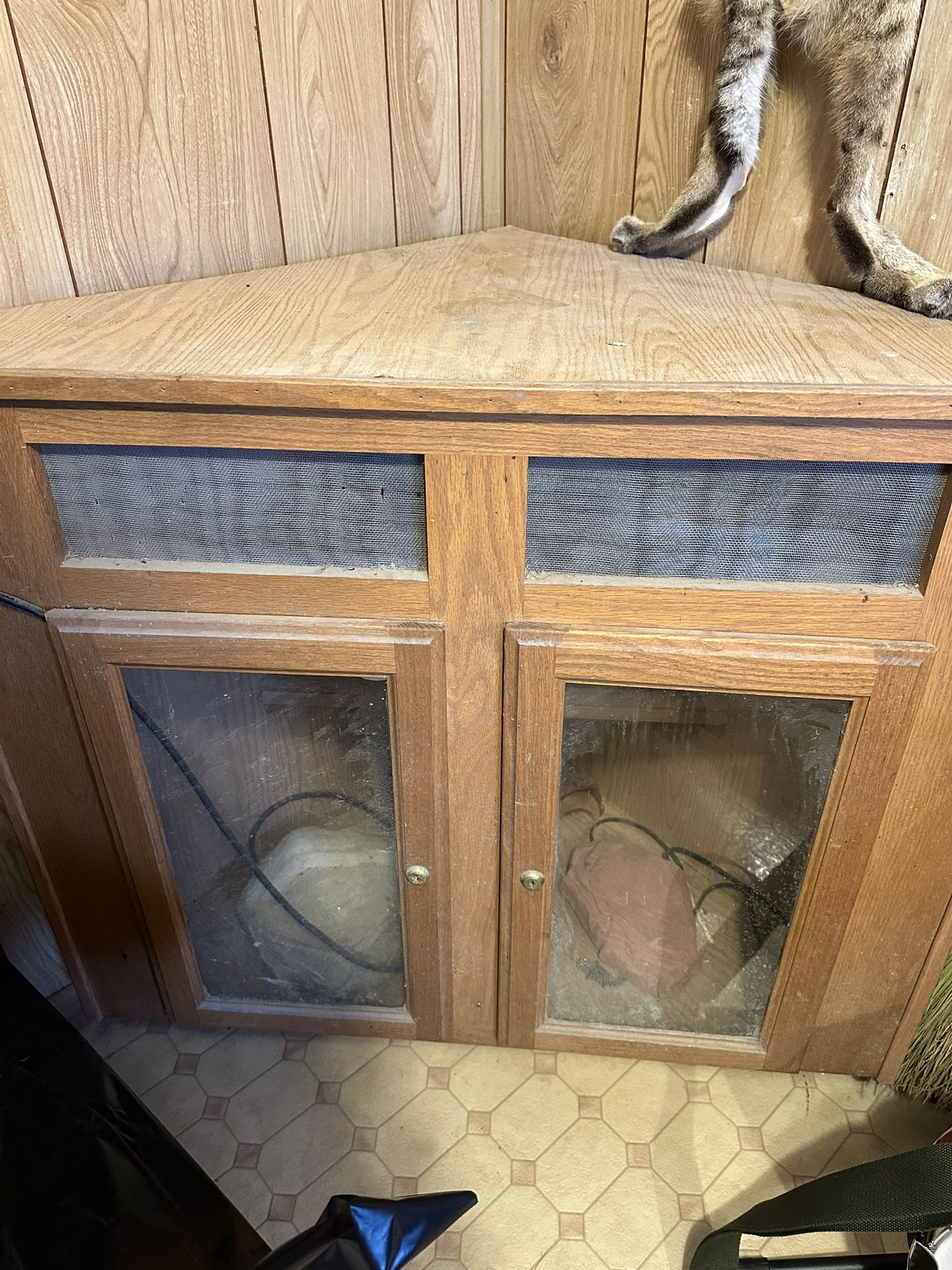 Locking Snake/critter Cage