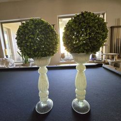 Topiary Trees