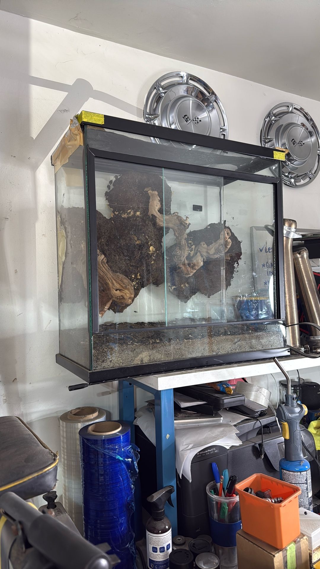 Reptile Tank