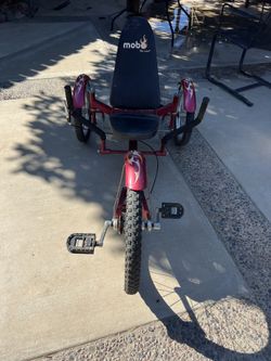 Youth Cruiser Tricycle