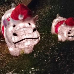 Christmas Hippos 