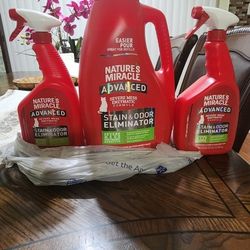 Stain & Odor Eliminator