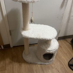 Cat House 