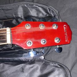 Giannini 6 String guitar 