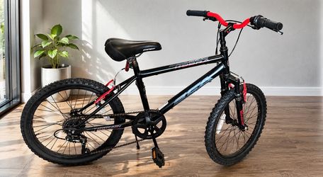 Mountain bike