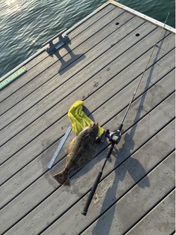 Daiwa Prorex 400 and Shimano Talavera Type J Combo