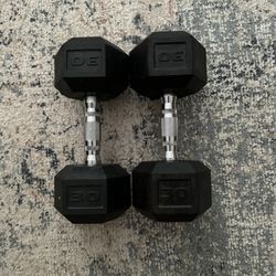 Pair of 30lb Dumbbells 