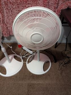 Fan