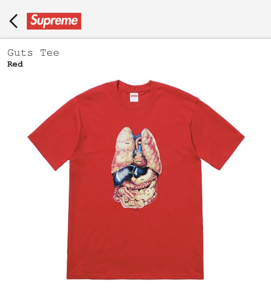 Supreme guts Tee. Red size M for Sale in Chicago, IL - OfferUp