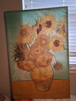 Sunflower  Picture